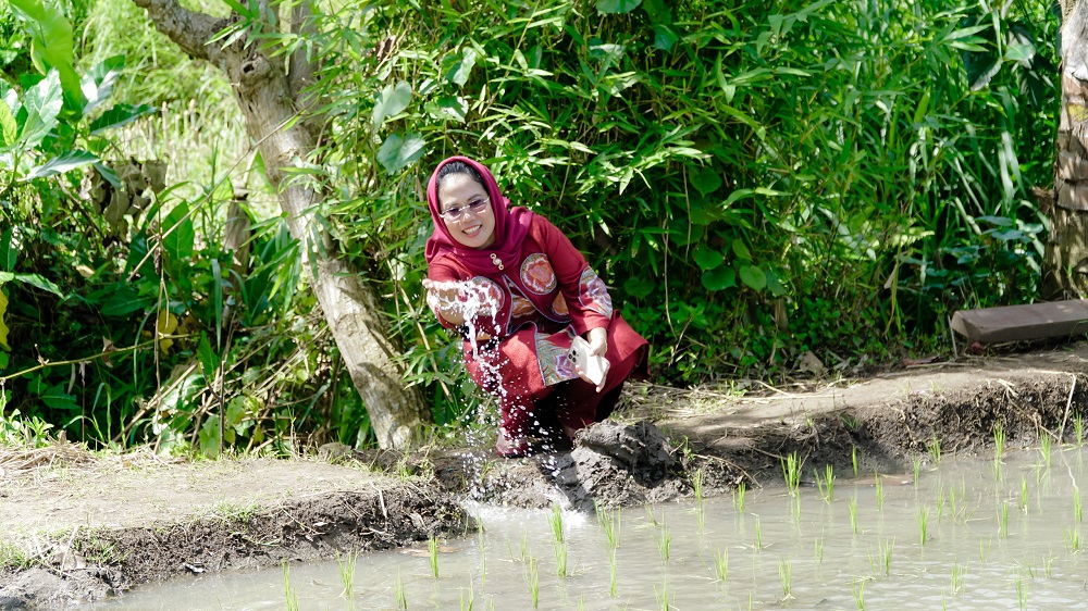 Hari Tani Nasional jadi Momentum Bangkitkan Kedaulatan Pangan