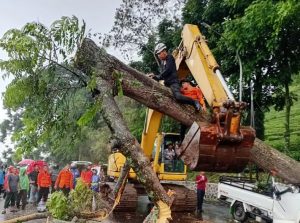 Musim Telah Berganti, Waspadai Banjir dan Angin Kencang