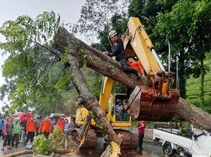 Musim Telah Berganti, Waspadai Banjir dan Angin Kencang