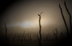 Menyambut Hadiah Indah: Merengkuh Makna Kematian dengan Ridha