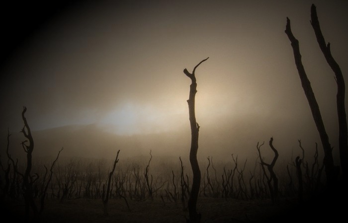 Menyambut Hadiah Indah: Merengkuh Makna Kematian dengan Ridha