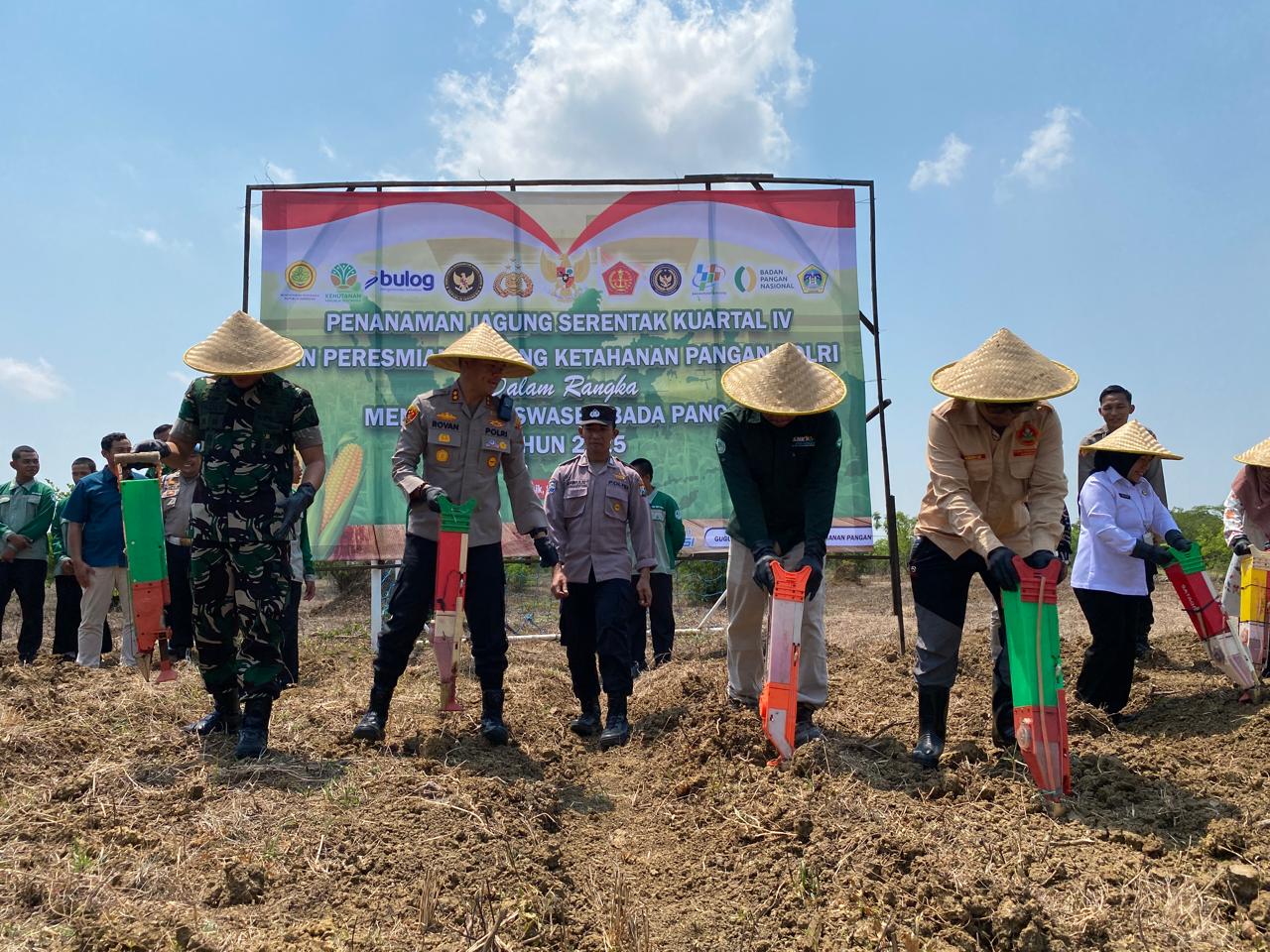 Tinggalkan Meja Kantor, Jajaran Polres-Pemuda Muhammadiyah Kompak ‘Nandur’ Jagung