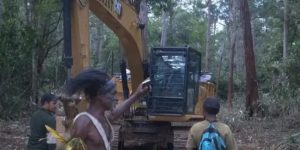 Koalisi Penegak Hukum dan HAM Papua Desak Presiden Cabut PSN yang Serobot Tanah Adat Kwipalo