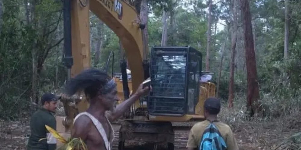 Koalisi Penegak Hukum dan HAM Papua Desak Presiden Cabut PSN yang Serobot Tanah Adat Kwipalo