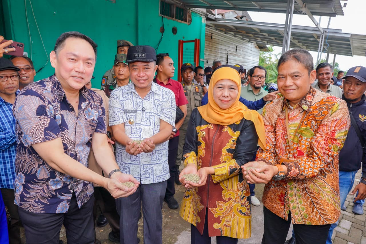 Bondowoso “Republik Kopi” Unjuk Gigi, 10 Ton Kopi Arabika-Robusta Dikirim ke Taiwan