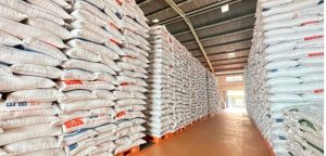 Tanpa Impor, Produksi Beras 2025 Pecah Rekor: CBP Indonesia Tertinggi dalam 18 Tahun