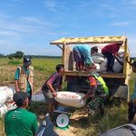 BULOG Langsa Serap Ribuan Ton Gabah Petani: Wujudkan Ketahanan Pangan