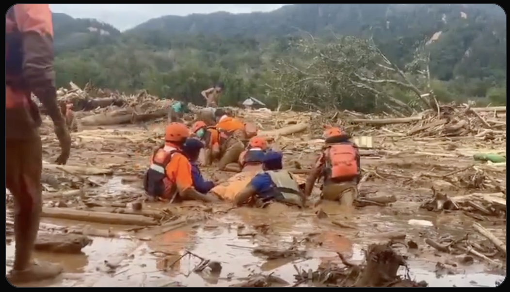 KLH Panggil Perusahaan Pemilik Kayu Gelondongan yang Diduga Sebabkan Banjir Sumatera