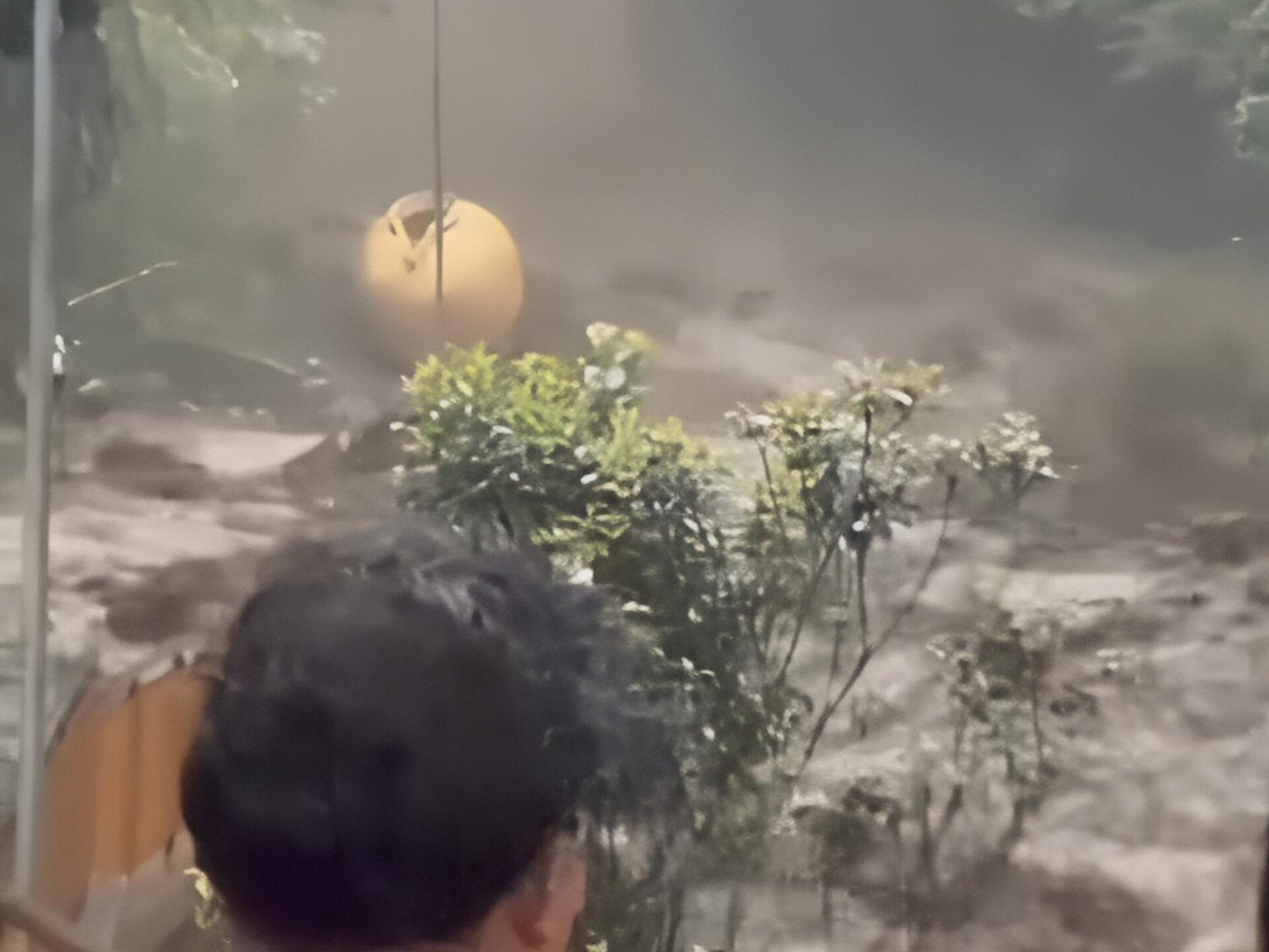 Wisata Guci Diterjang Banjir usai Hujan Deras Guyur Lereng Gunung Slamet, Pipa Air Panas Ikut Terseret Arus