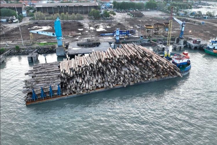 Kemenhut Tetapkan Direktur Utama PT BRN sebagai Tersangka Pembalakan Liar Mentawai