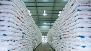 Harga Beras Turun di 28 Provinsi, BPS: Jadi Penahan Utama Inflasi November 2025