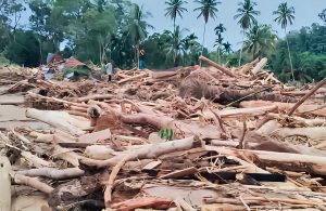 Titiek Soeharto Bongkar ‘Dekengan’ Jenderal di Balik Penebangan Kayu Sumatra: “Setop Takut, Tindak Semua!”