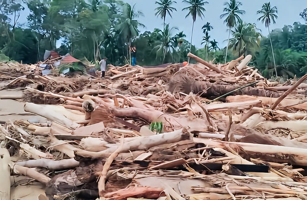 Titiek Soeharto Bongkar ‘Dekengan’ Jenderal di Balik Penebangan Kayu Sumatra: “Setop Takut, Tindak Semua!”