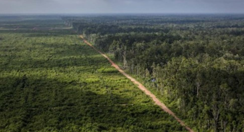 Kemenhut Siapkan Lahan PBPH untuk Relokasi Korban Bencana di Sumatera
