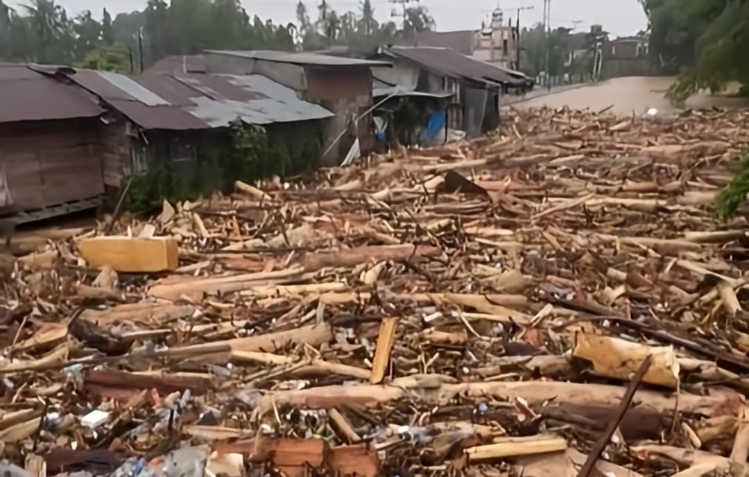 Kayu Gelondongan Hambat Pemulihan Banjir Aceh, DPR RI Desak Pemerintah Tetapkan Status Hukum
