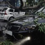 Mobil Toyota Avanza putih dan Honda Accord hitam tertimpa pohon tumbang di simpang empat Jalan Mojopahit, Sidoarjo, Sabtu (3/1/2026). Petugas memastikan tidak ada korban jiwa dalam insiden nahas itu. (Foto: Ubay NA)