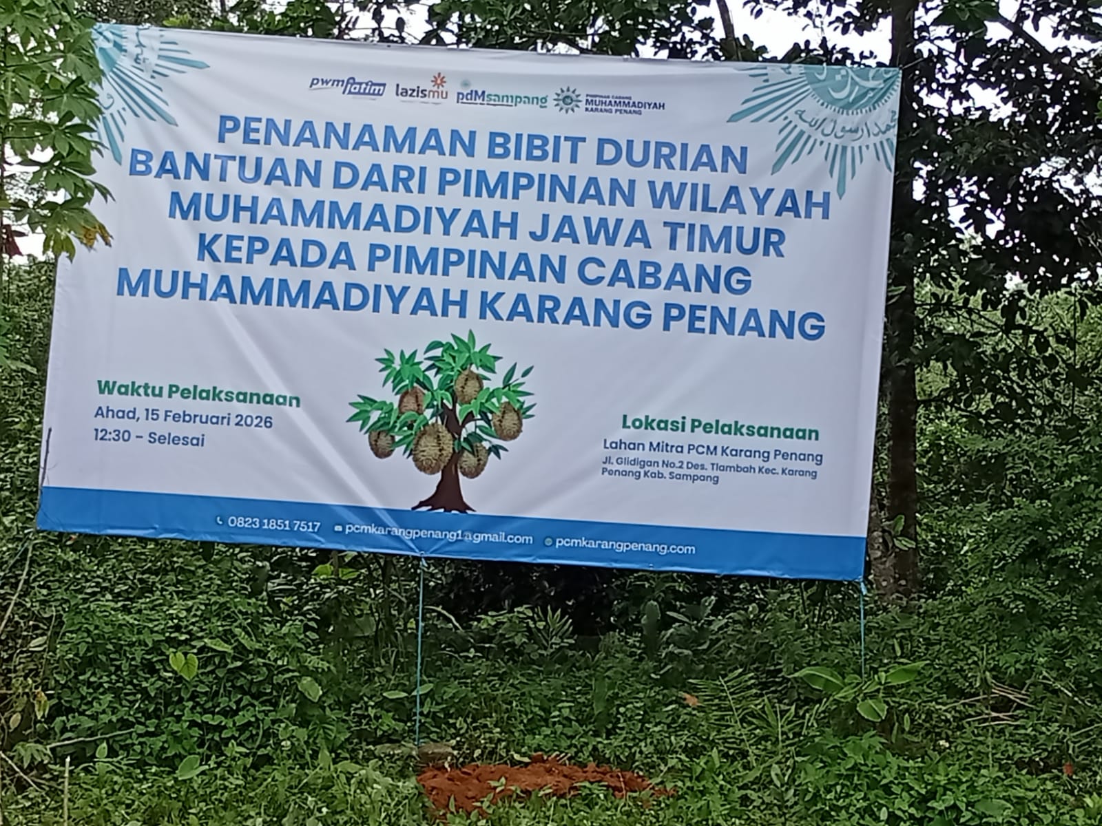 Tanam Durian di Lahan 12 Hektare, Muhammadiyah Karang Penang Mulai Ikhtiar Besar untuk Kemandirian Umat