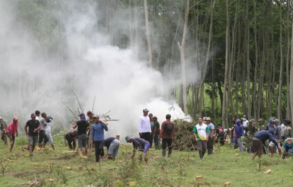 Hapus Kemiskinan Ekstrem di Jember, Gus Fawait Dorong Kolaborasi Strategis PTPN-Perhutani
