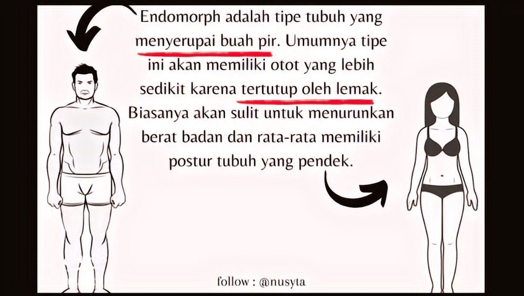 Susah Kurus? Kenali Endomorph dan Cara Efektif Bakar Lemak