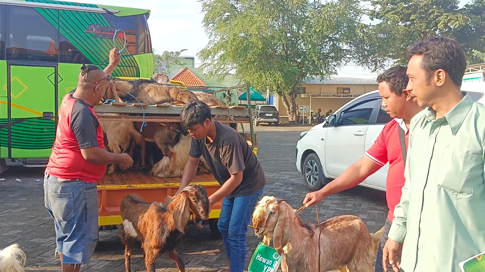 Semarak Iduladha 1447 H, YPM Sepanjang Distribusikan 100 Hewan Kurban