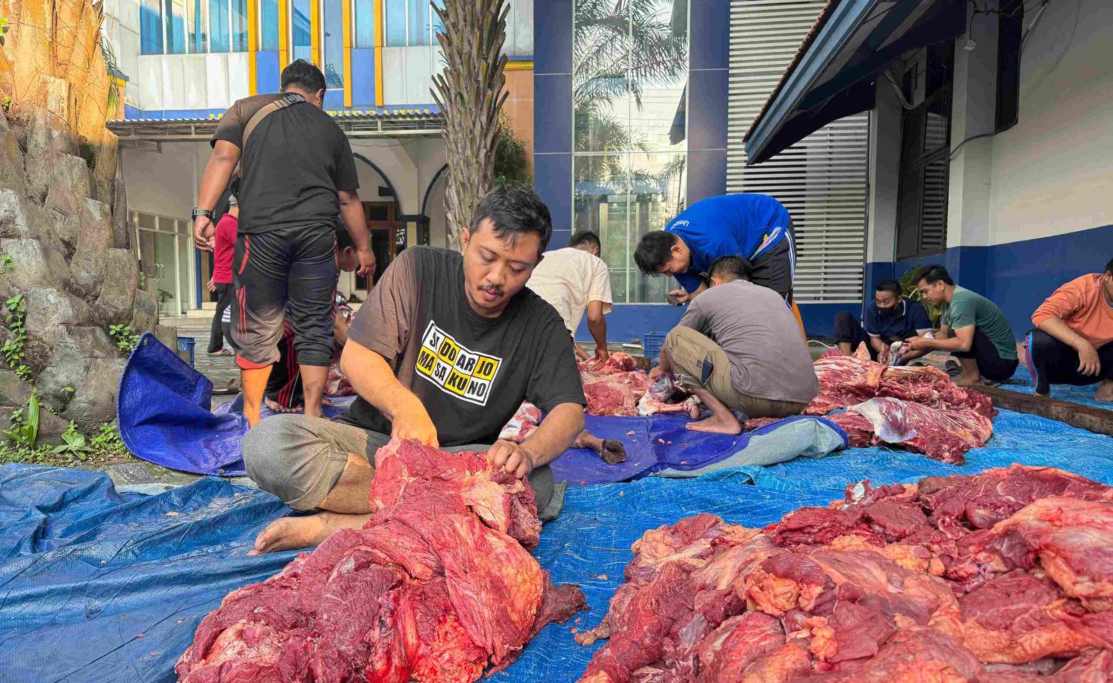 Semarak Kurban Umsida: Penyembelihan oleh Juru Sembelih Halal, Distribusi hingga ke Pinggiran Sidoarjo