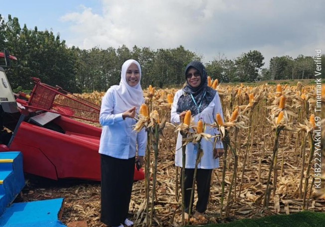 Prabowo Panen Raya Jagung di Tuban, Sri Wahyuni: Dorongan Nyata Petani Lebih Produktif dan Sejahtera