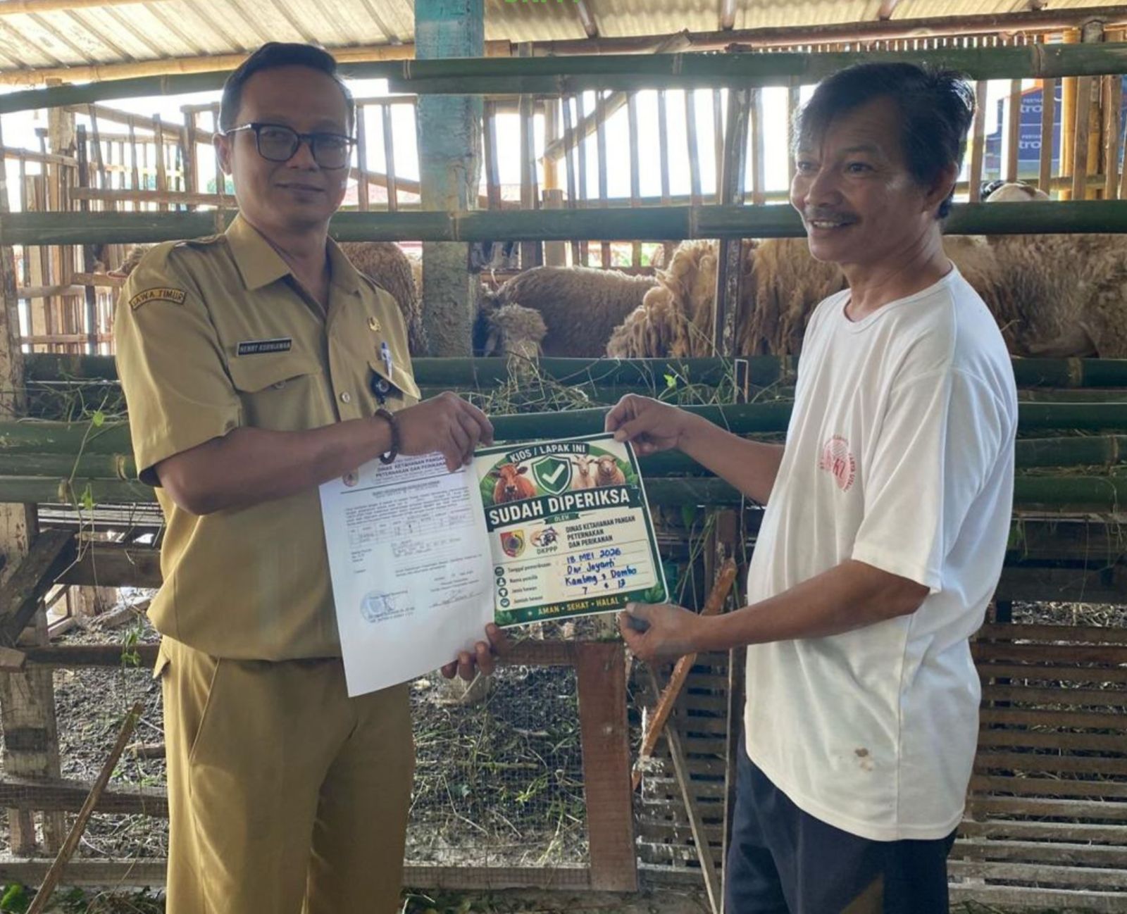 Jelang Iduladha, DKPPP Jember Perketat Pemeriksaan Hewan Kurban