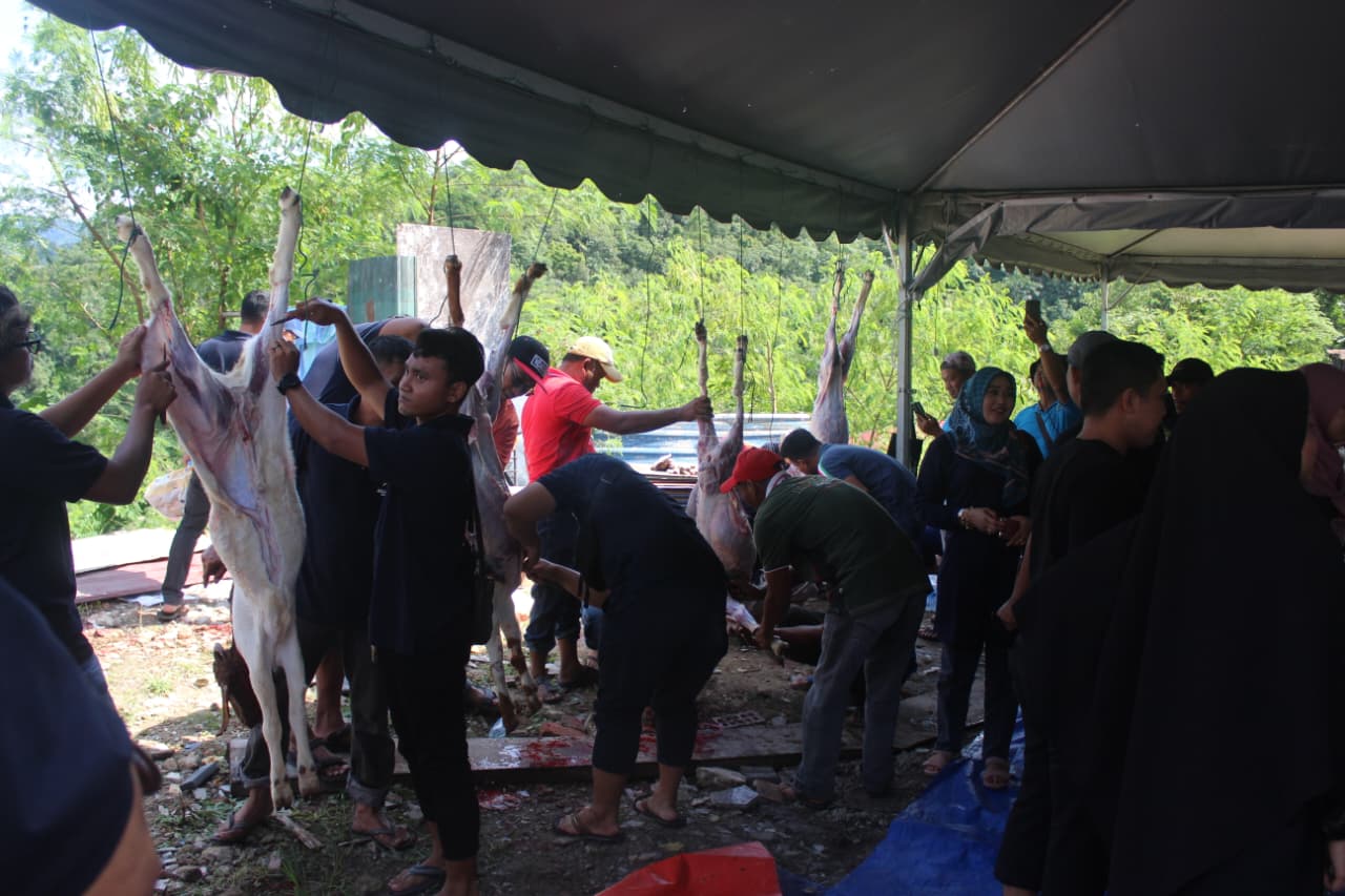 Antusiasme Kurban PCIM Malaysia, Dubes RI Kurban Sapi Jumbo Lewat Muhammadiyah
