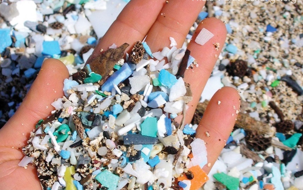 ​5 Cara Mengurangi Paparan Mikroplastik dalam Kehidupan Sehari-hari