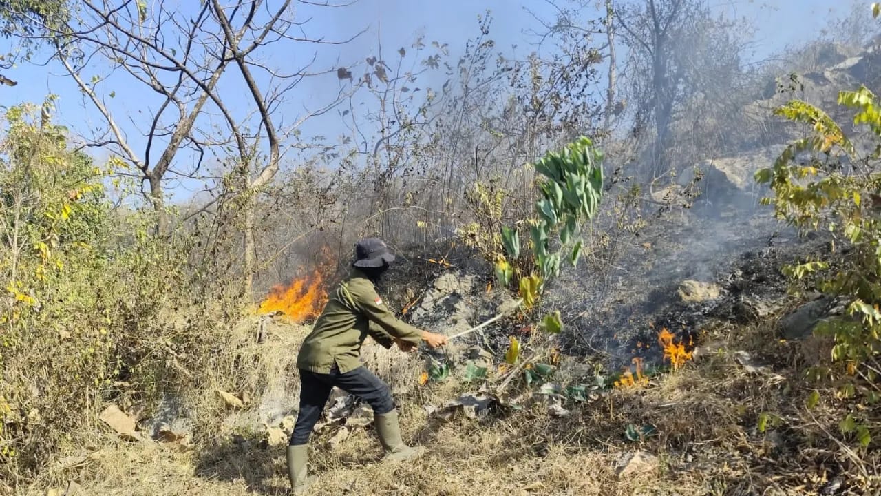 Kebakaran Gunung Angel Ponorogo Hanguskan 1,3 Hektare Lahan