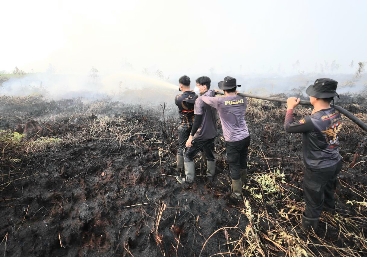 Karhutla Kalimantan Tengah Lebih dari 3.000 Hektare, Pemerintah Percepat Penanganan di Pulang Pisau