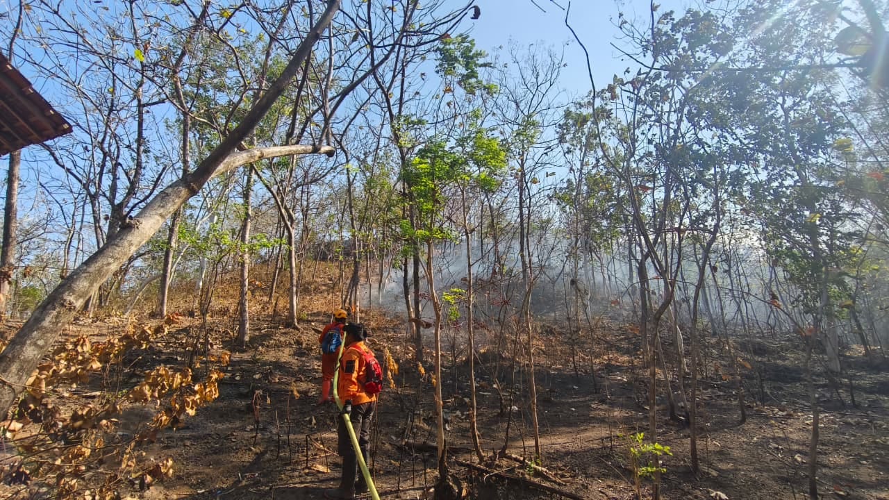 Kekeringan Salatiga hingga Karhutla Rinjani, BNPB Catat 5 Bencana dalam 2 Hari