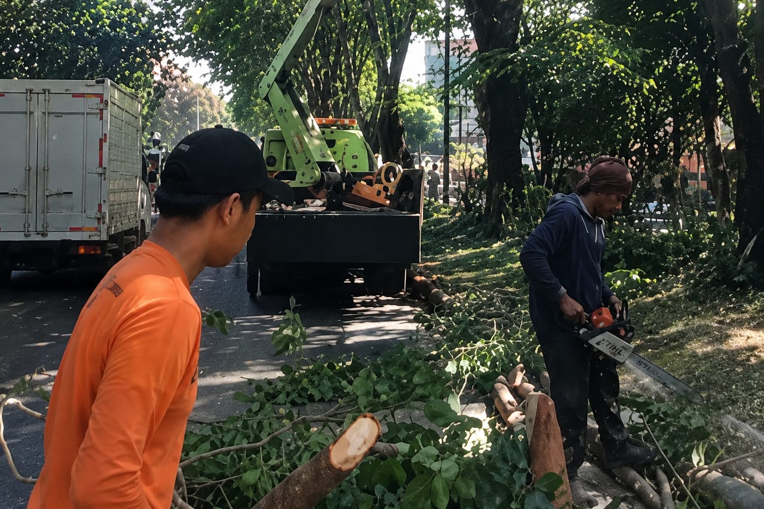 Warga Sidoarjo Diminta Laporkan Pohon Rawan Tumbang, DLHK Tegaskan Layanan Pengeprasan Gratis