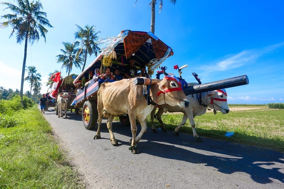 Dorong Pariwisata dan Ekonomi Lokal, Pegon Watu Ulo Masuk 15 Besar Jatim Jagad Inovasi Award 2026