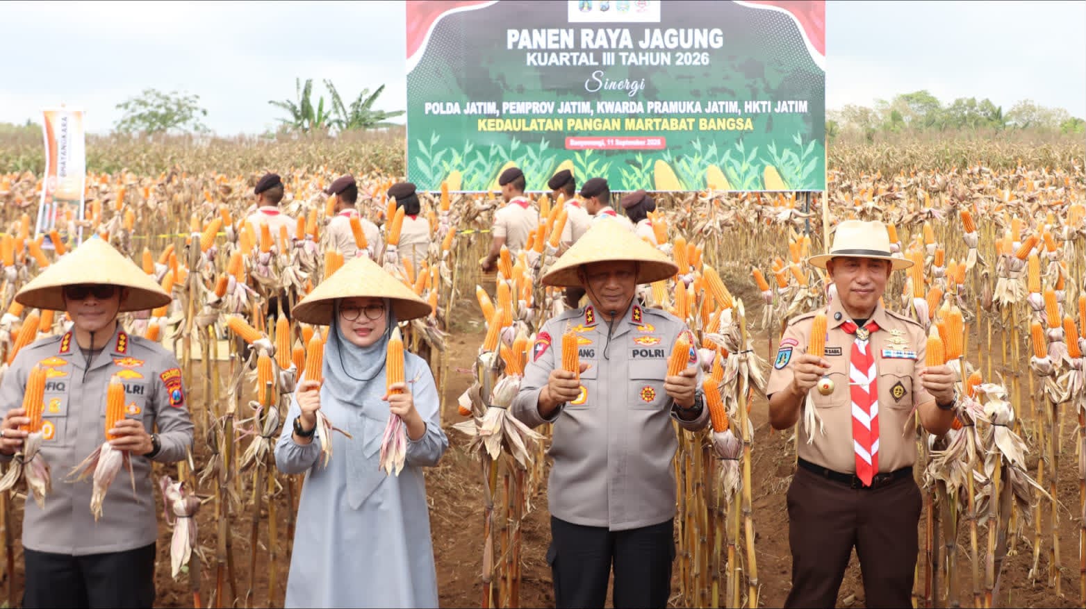 Kapolda Jatim Panen Jagung Bhayangkara di Banyuwangi, Dorong Produksi Benih Unggul