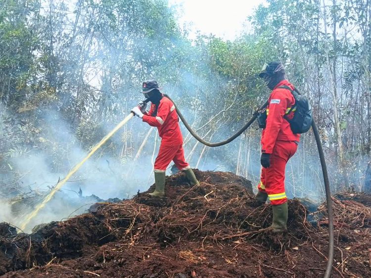 575 Hotspot Karhutla Terdeteksi, PM2.5 Palangkaraya Masuk Kategori Berbahaya