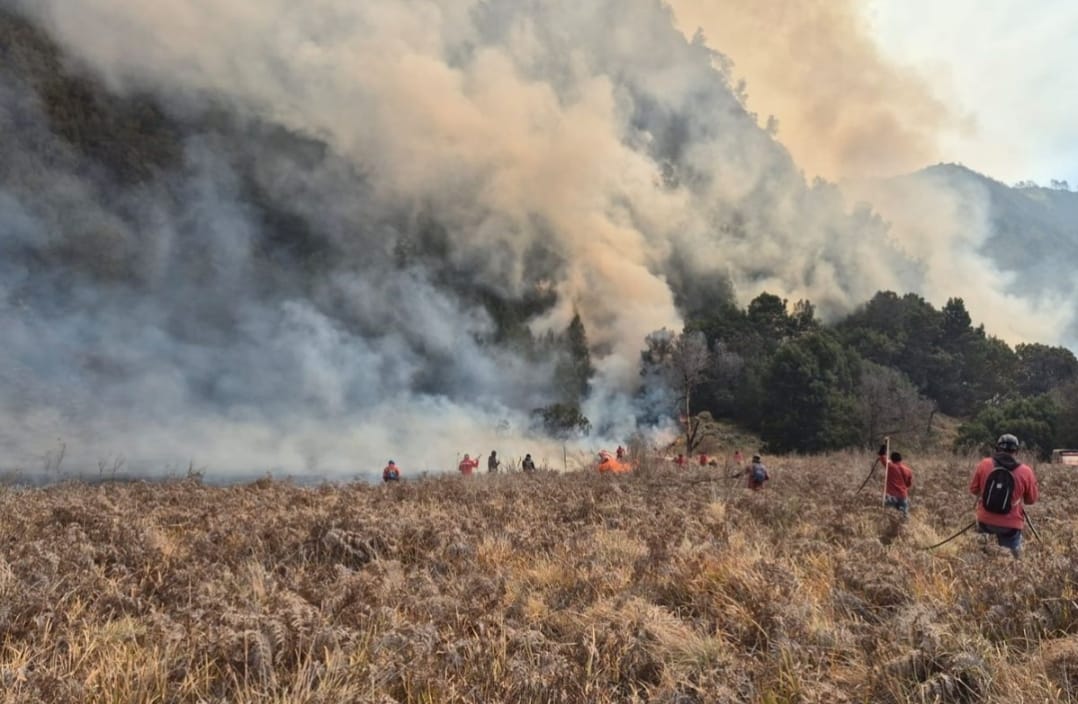 Biaya ISPA Akibat Karhutla Tembus Rp103,3 Triliun, Jatim Masuk Tiga Besar Beban Kesehatan