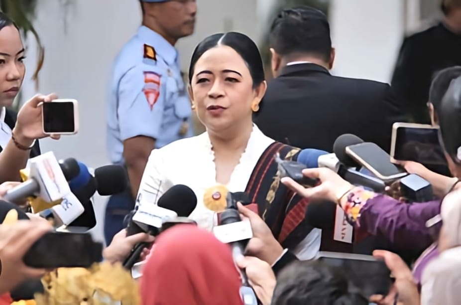 Puan Desak 21 Badan Usaha Pelaku Karhutla Diberi Sanksi Tegas