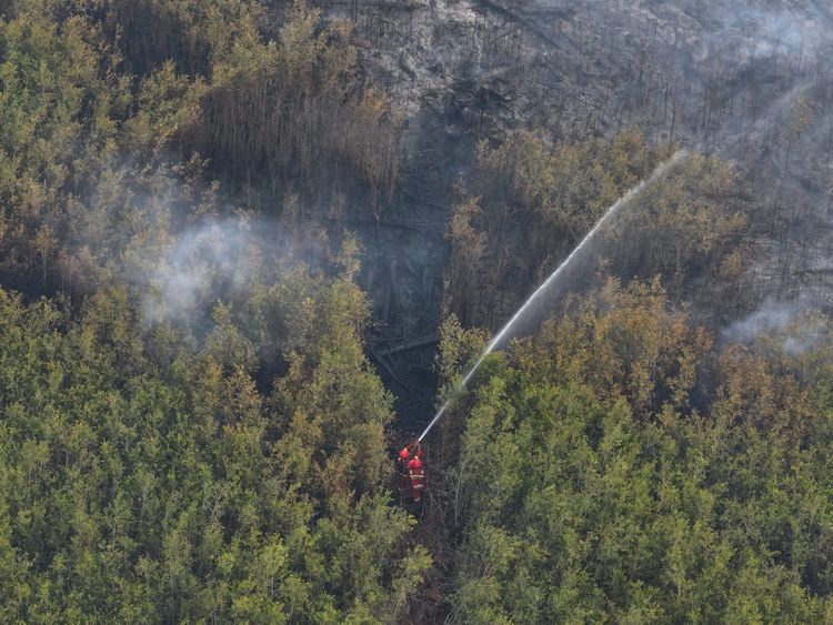 Haram Hukumnya Membakar Hutan, Ini Landasan Fikih Muhammadiyah