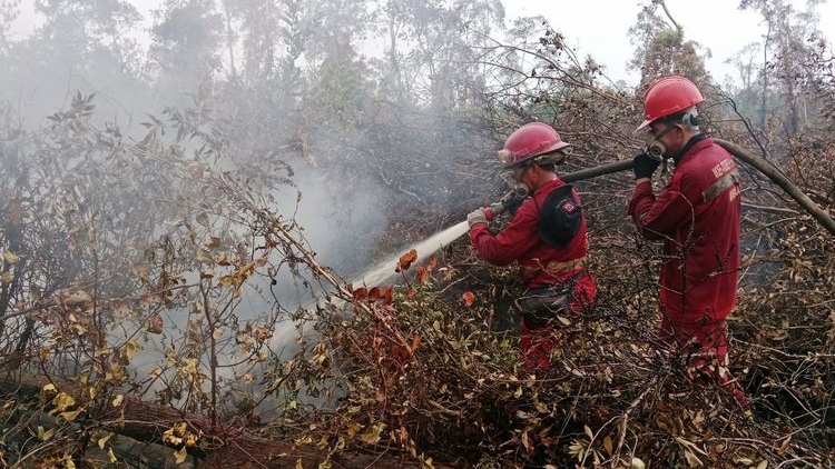 Kemenhut Tetapkan PT GAP dan PT MAP sebagai Tersangka Karhutla Kalimantan