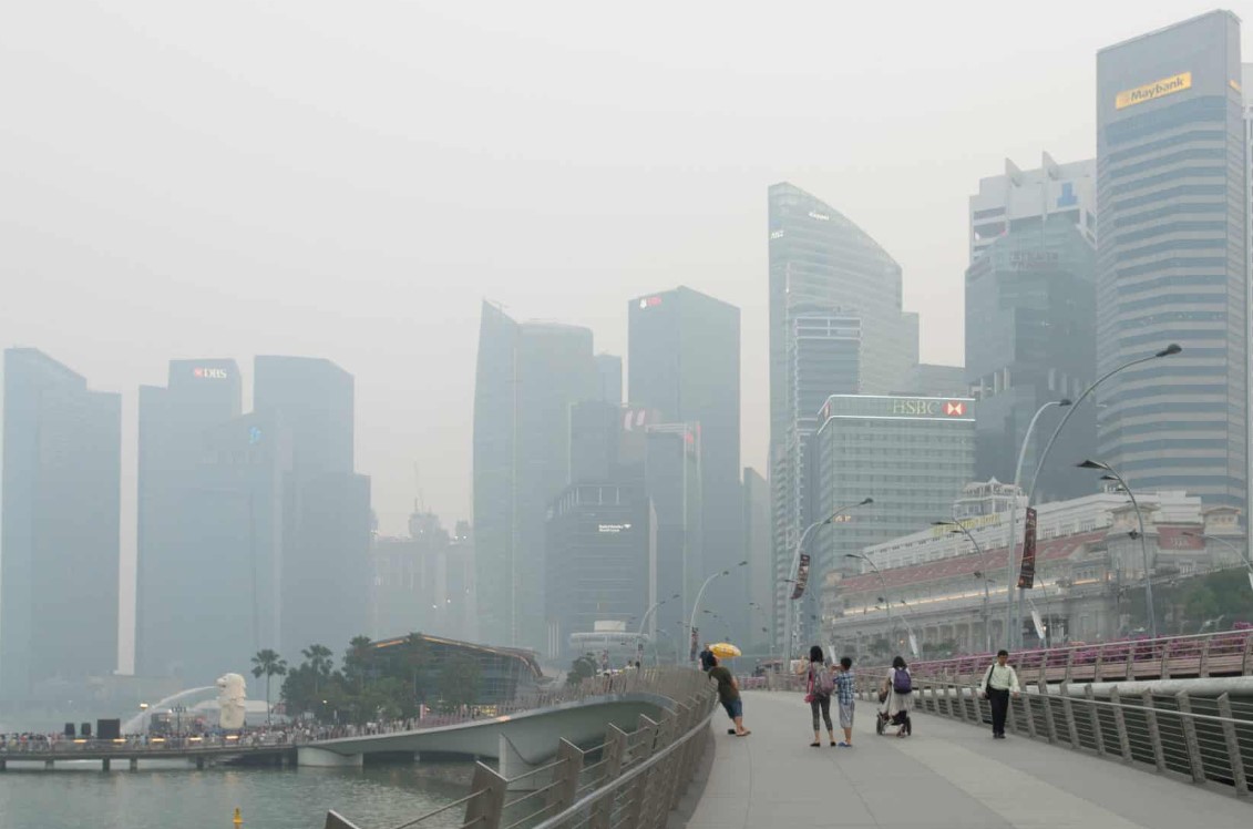 NEA Singapura Warning 10 Perusahaan Indonesia, Desak Padamkan Karhutla