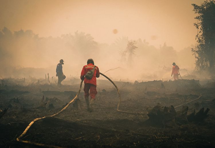 Menhut Raja Juli Antoni Tingkatkan Water Bombing Karhutla Tanjung Puting